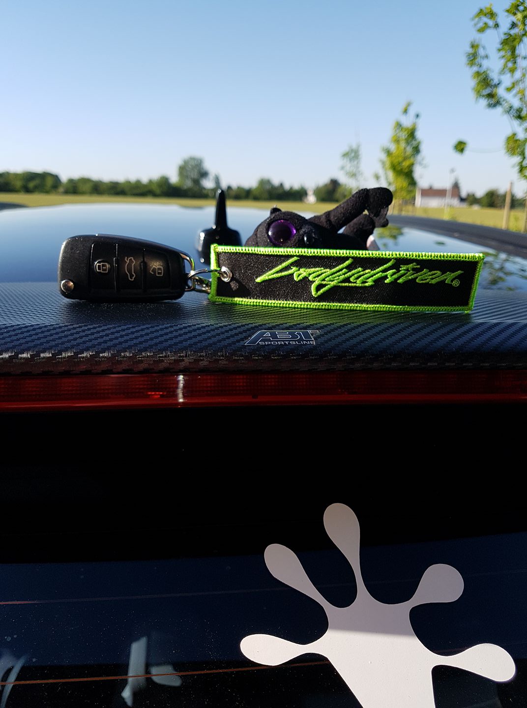 Grüner Ladydriven Schlüsselanhänger mit gesticktem Logo und Autoschlüssel auf einem Fahrzeug